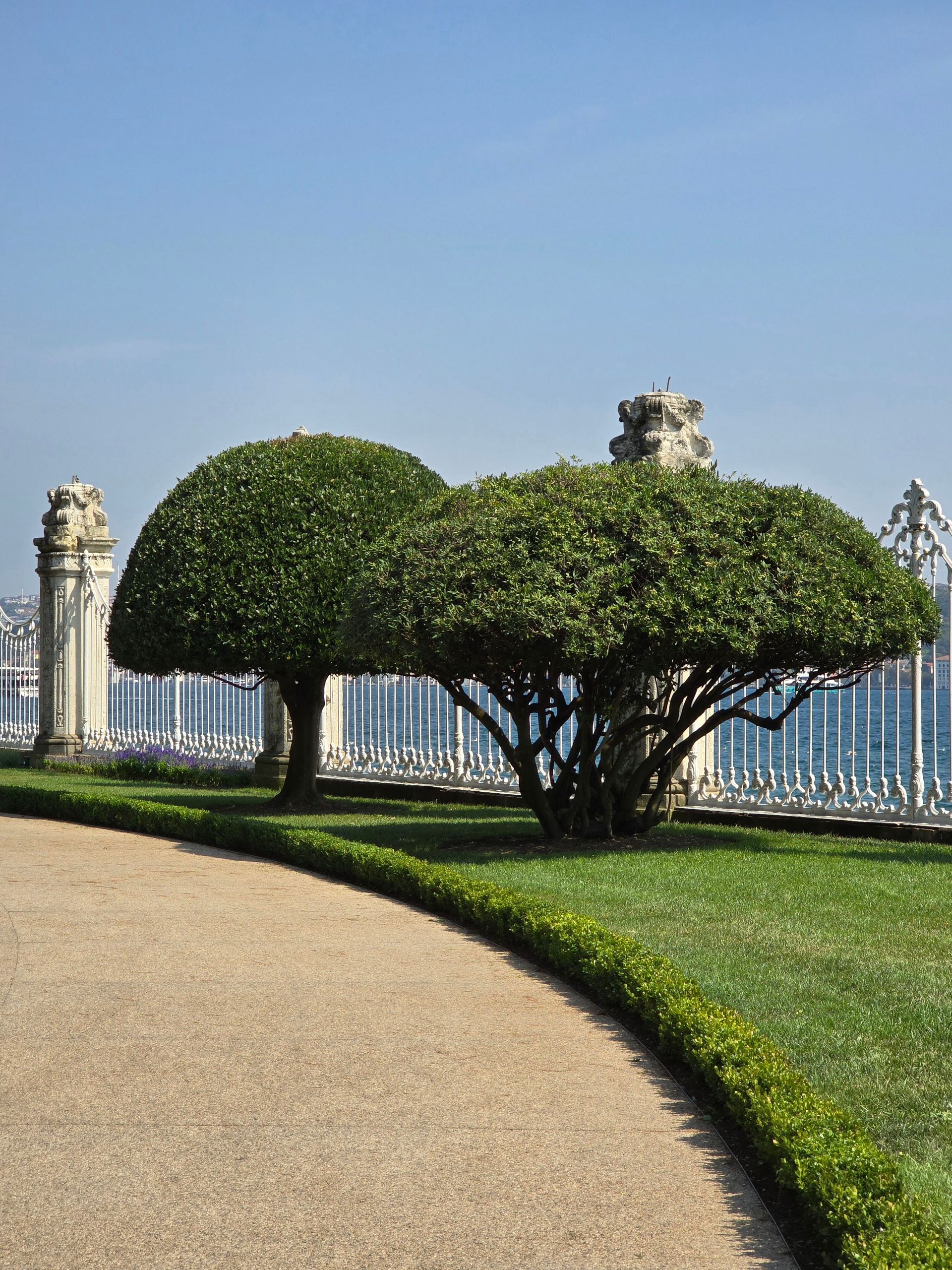 Elegant sculpted trees with sea view at Dolmabahçe Palace in Istanbul.